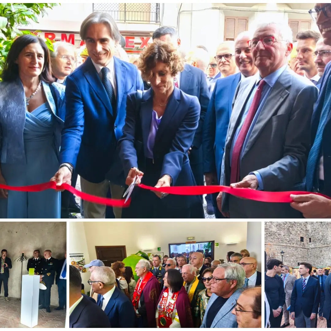 Bergarè 2025, Reggio celebra il suo oro verde. Il bergamotto protagonista tra economia, cultura e identità\n