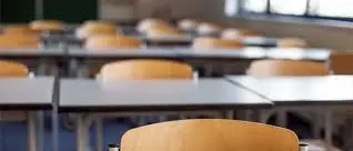 Allarme ratti in una scuola\u00A0di\u00A0Catanzaro, la rabbia dei genitori: «Pretendiamo risposte da dirigente e sindaco»\n