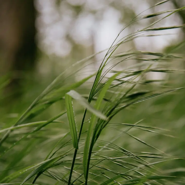 <p>Maltempo, Calabria osservata speciale per i venti: l’allerta della Protezione Civile</p>