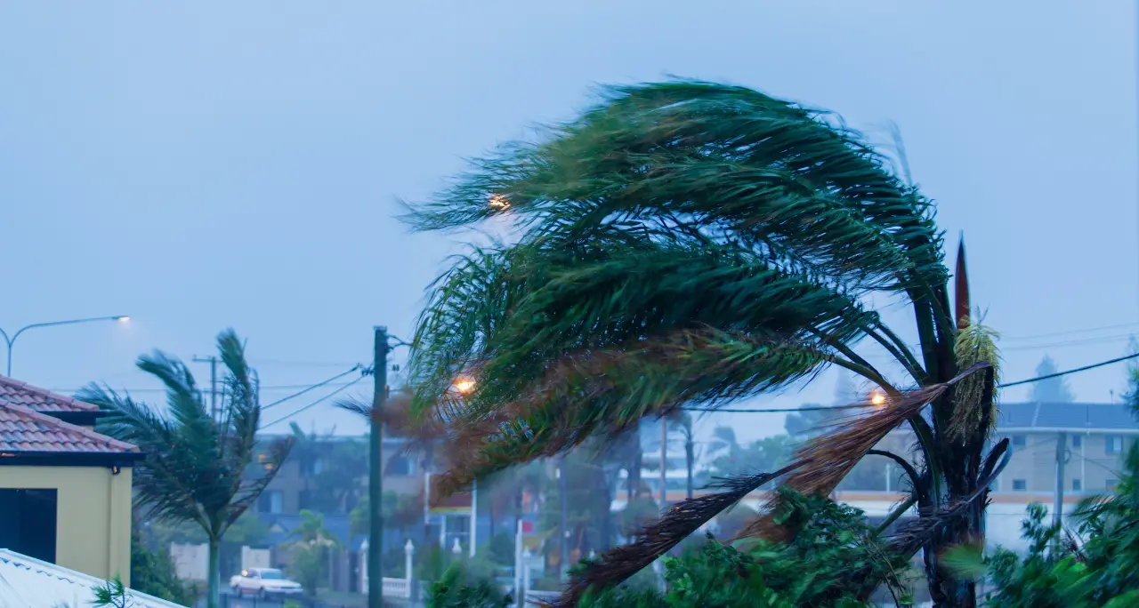 Maltempo, raffiche di vento record in Calabria: a Catanzaro superati i 130 km/h\n