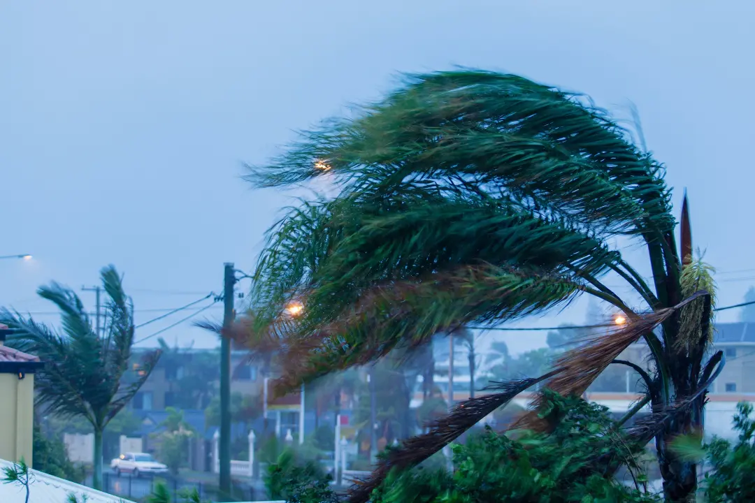 Maltempo, vento record Calabria: a Catanzaro più di 130 km/h