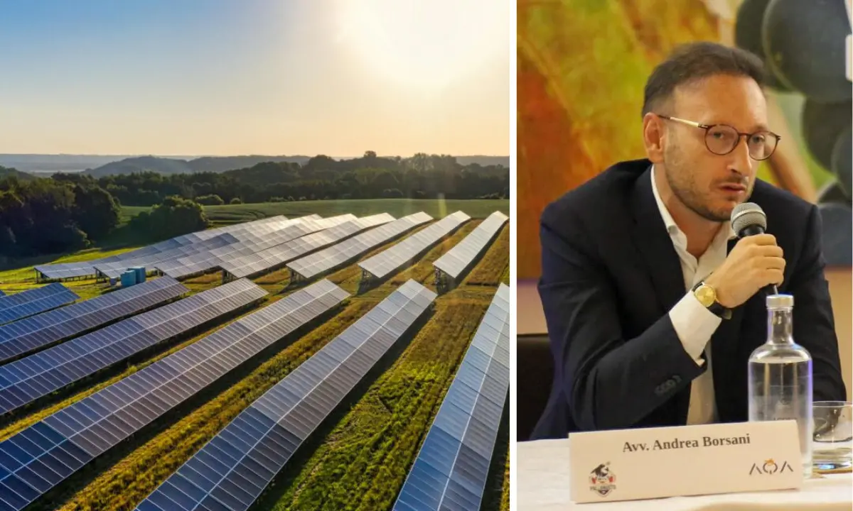 San Vincenzo La Costa, il Consiglio di Stato dà ragione ai cittadini: illegittimo il maxi impianto fotovoltaico comunale