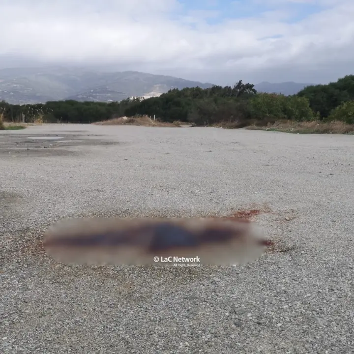 Omicidio a Lamezia, 52enne ucciso a coltellate: il presunto assassino si è costituito 