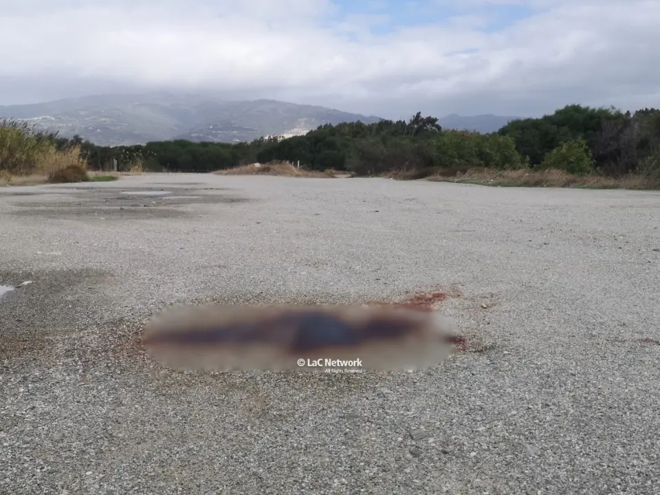 Omicidio a Lamezia, 52enne ucciso a coltellate: il presunto assassino si è costituito
