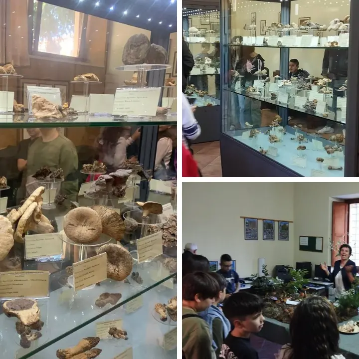 Dalla Sila alla Calabria intera: 30 anni del Gruppo Micologico “Sila Greca”