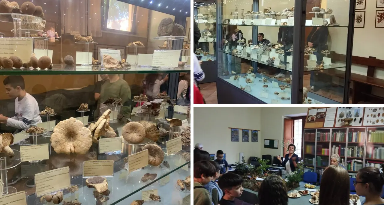 Acri, il Gruppo Micologico “Sila Greca” celebra 30 anni con un convegno regionale e\u00A0nazionale\n