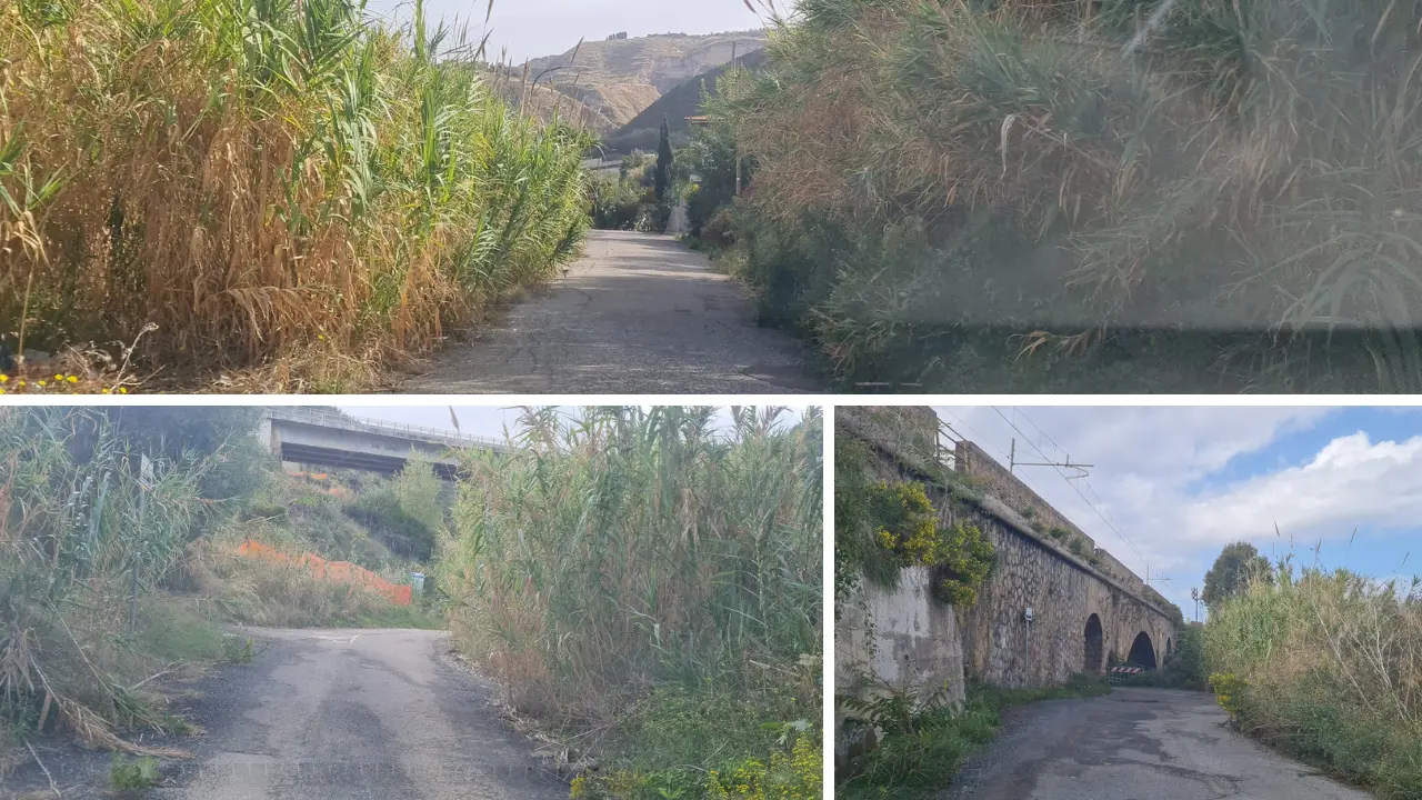 Tropea, contrada Gornella invasa dalle erbacce. Piserà:\u00A0«Le periferie meritano rispetto quanto il centro»