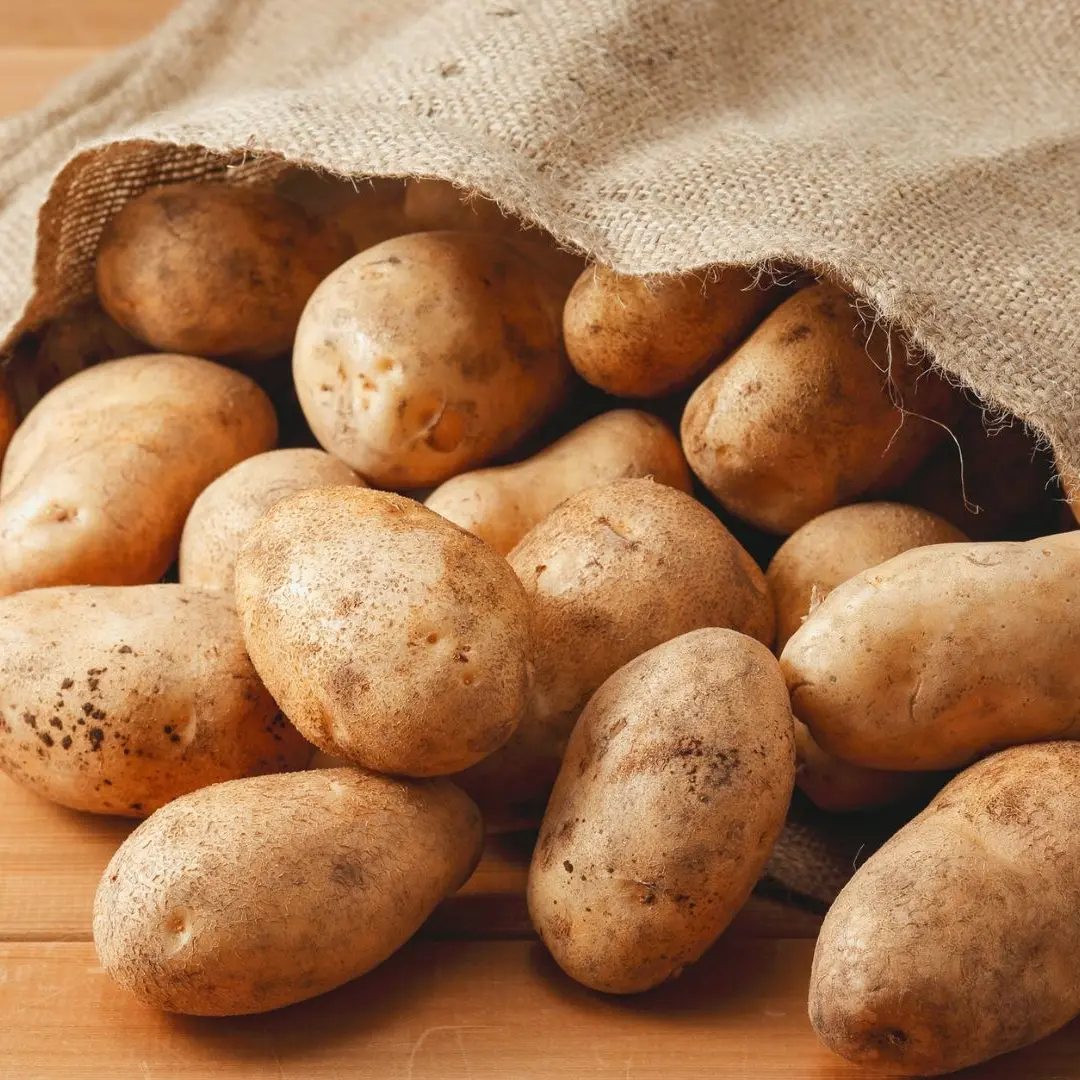 La Patata della Sila conquista l'Italia: il successo di un modello che fa scuola e guarda al futuro con la dolce americana\n