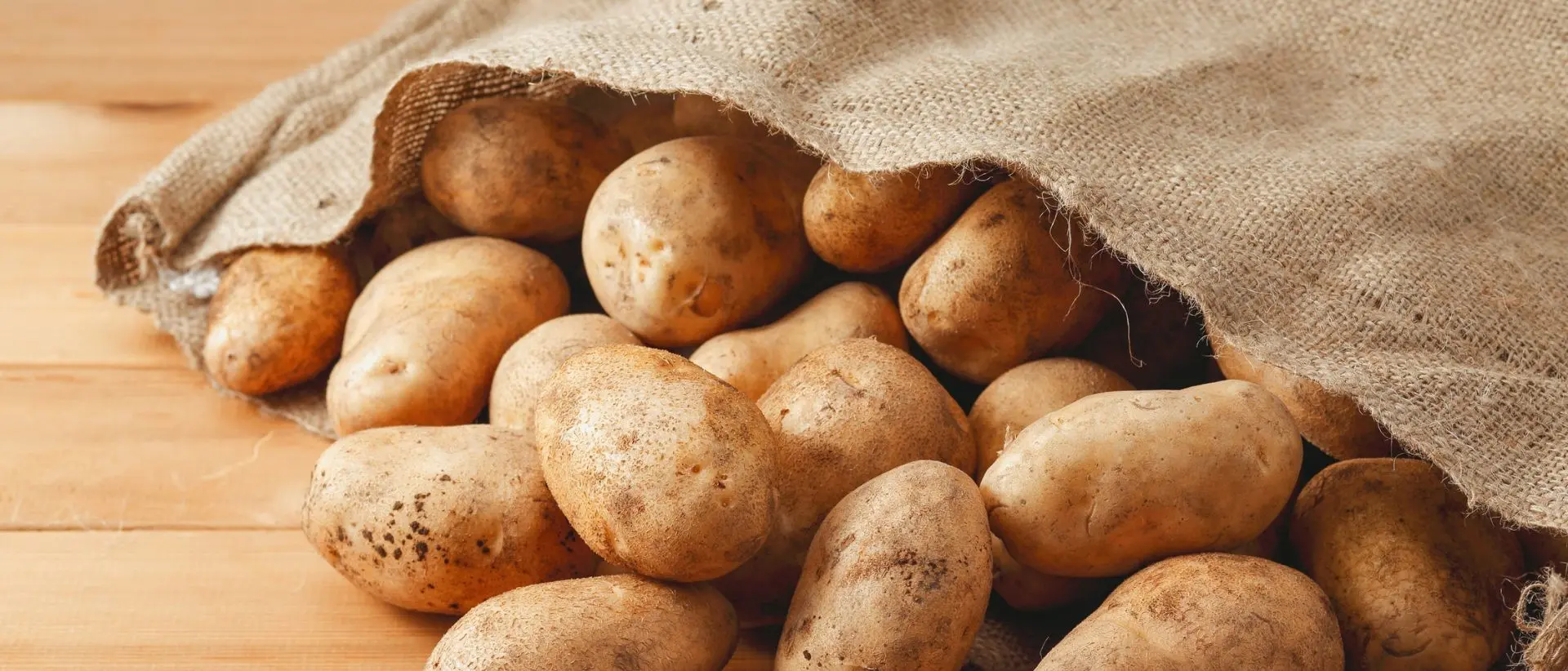 La Patata della Sila conquista l'Italia: il successo di un modello che fa scuola e guarda al futuro con la dolce americana\n