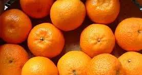 Clementine, la Calabria è leader: da qui il 66% della produzione nazionale. Corigliano Rossano fa la parte del leone\n