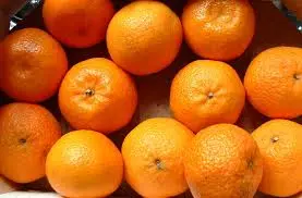 Clementine, la Calabria è leader: da qui il 66% della produzione nazionale. Corigliano Rossano fa la parte del leone\n