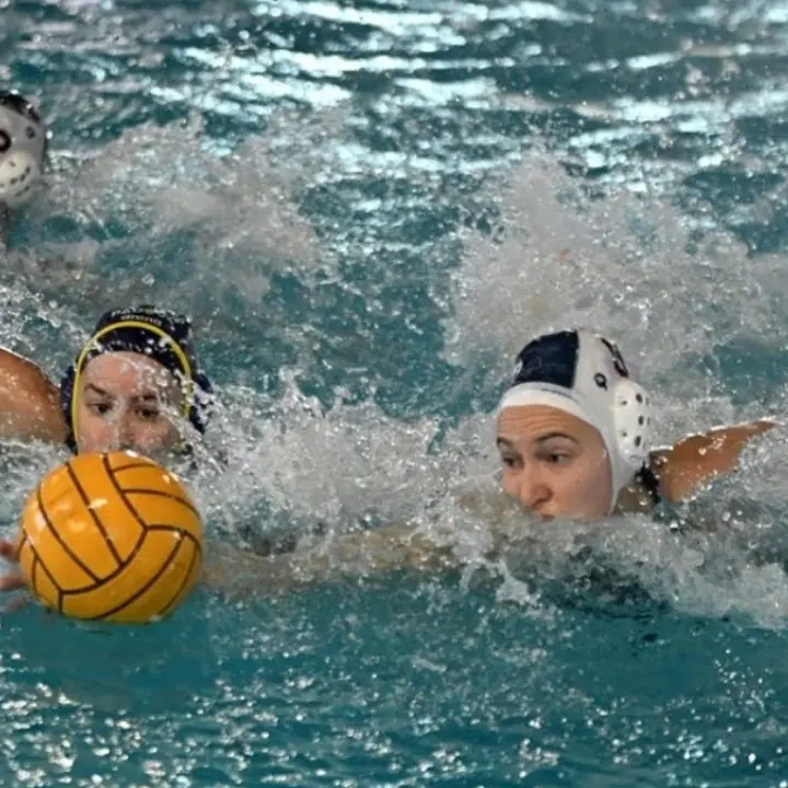 Pallanuoto Serie A1 femminile, Smile Cosenza corsara a Padova: le rossoblù vincono 12-10\n