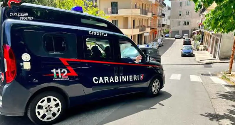 Catturato Alessio Ricco a Cetraro, i carabinieri del Reparto Operativo rintracciano l’uomo che\u00A0era latitante da più di\u00A0un anno\u00A0\n