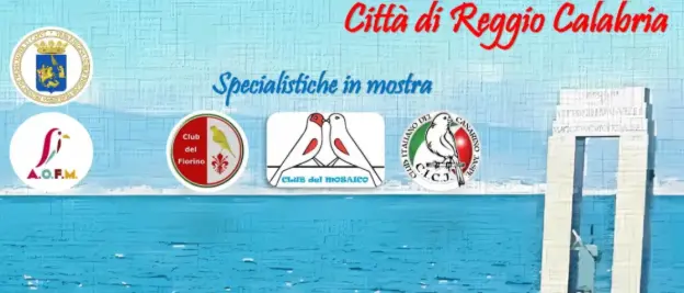 Reggio, l’1 e il 2 novembre la\u00A054ª mostra ornitica\n