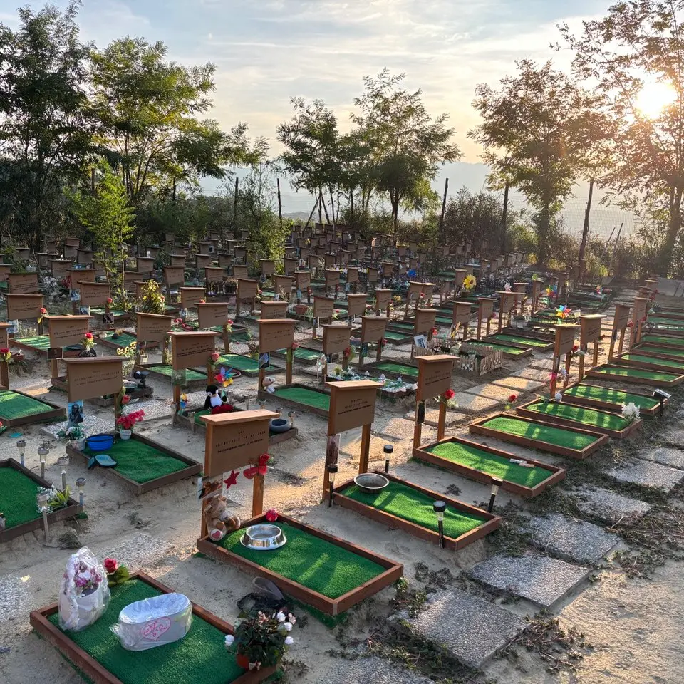 «La Dolce Quiete non chiude»: arriva la rassicurazione dei proprietari del cimitero per animali cosentino\n