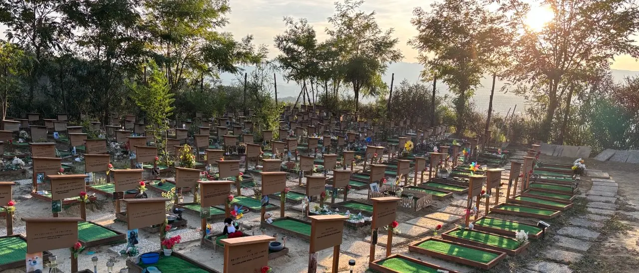 «La Dolce Quiete non chiude»: arriva la rassicurazione dei proprietari del cimitero per animali cosentino\n