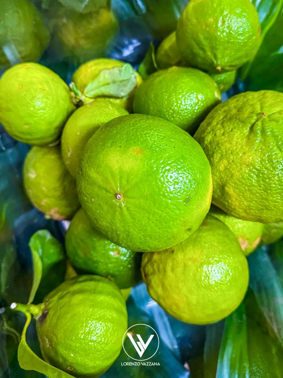 Profumo di terra e di sole\n