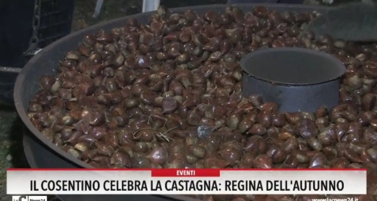 Il Cosentino celebra la castagna: regina dell'autunno