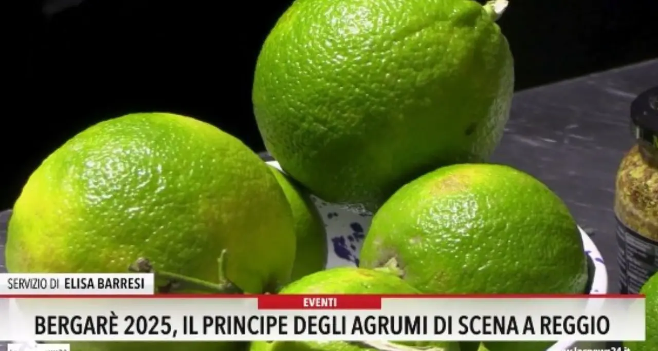 Bergarè 2025, il principe degli agrumi di scena a Reggio