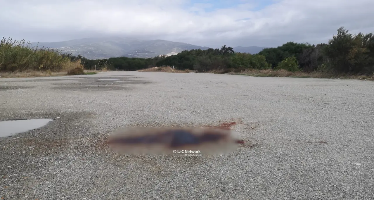 Omicidio Torcasio a Lamezia,\u00A0l’assassino ha gettato il coltello in mare: la cena insieme prima della notte di sangue\n