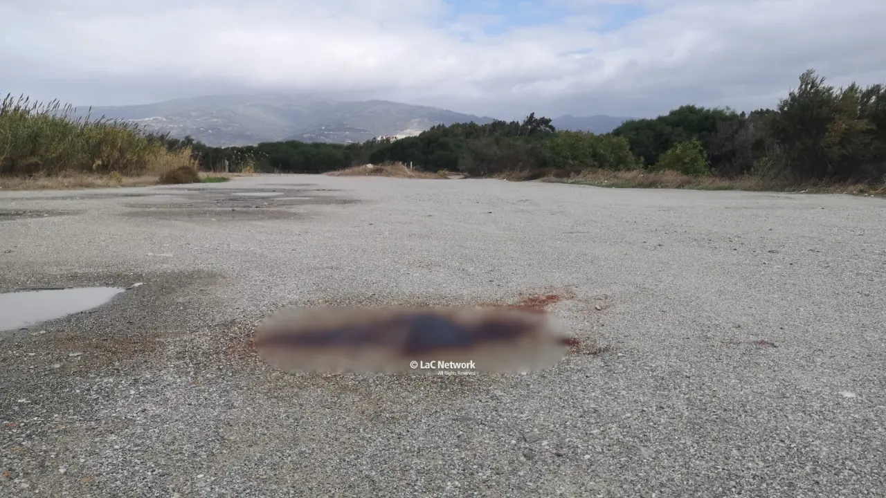 Omicidio Torcasio a Lamezia,\u00A0l’assassino ha gettato il coltello in mare: la cena insieme prima della notte di sangue\n