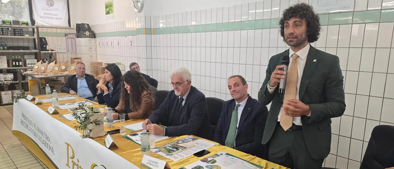 A San Giorgio Morgeto la\u00A025ª edizione di Prim’Olio – Saperi & Sapori di Calabria\n