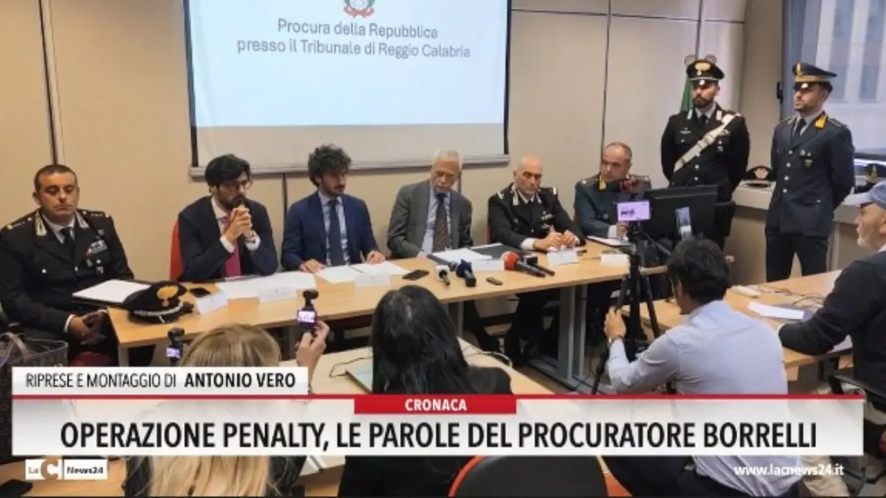 Operazione Penalty, le parole del procuratore Borrelli