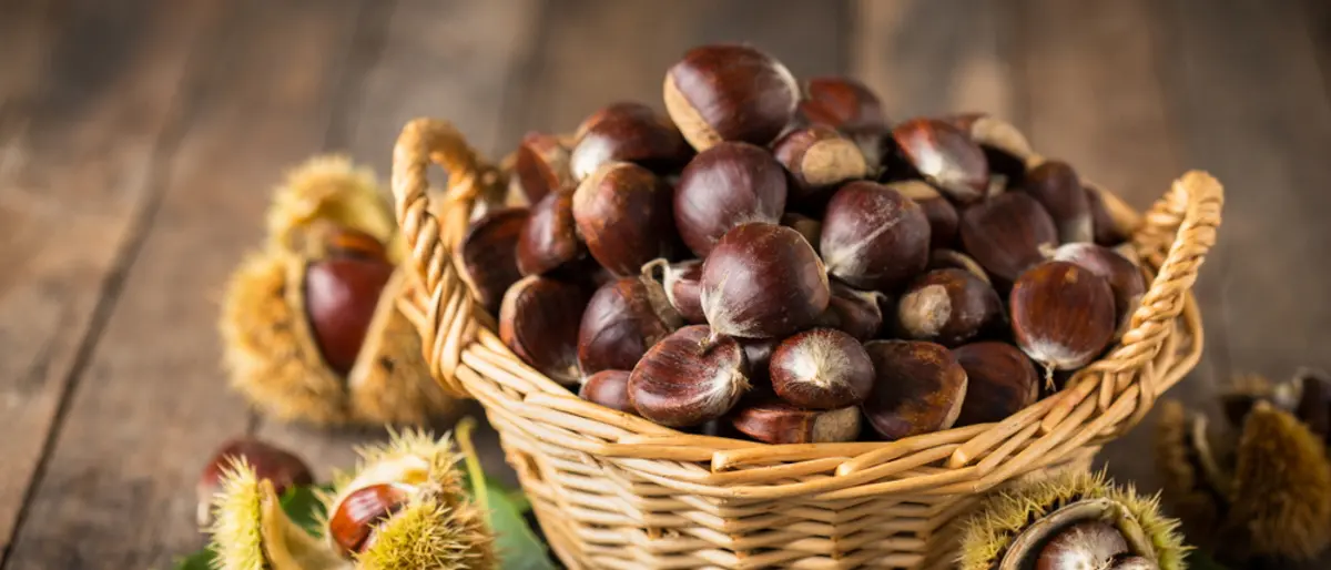 Serra San Bruno, conto alla rovescia per la terza edizione delle Giornate della castagna e del vino