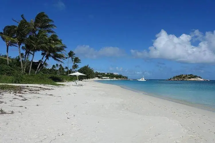 Nave da crociera dimentica 80enne sull'isola: trovata morta\n