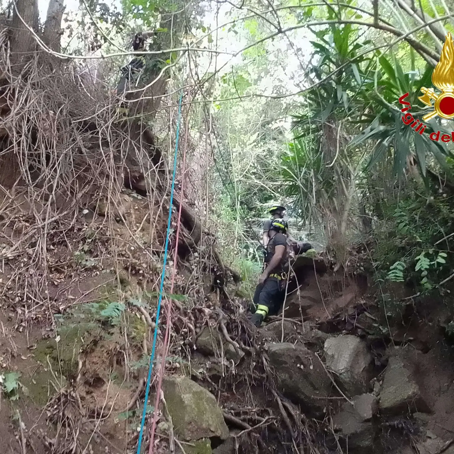 Monterosso, 30enne precipita in un burrone: soccorsi difficili, 2\u00A0ore per tirarlo fuori e portarlo in ospedale in elicottero\n