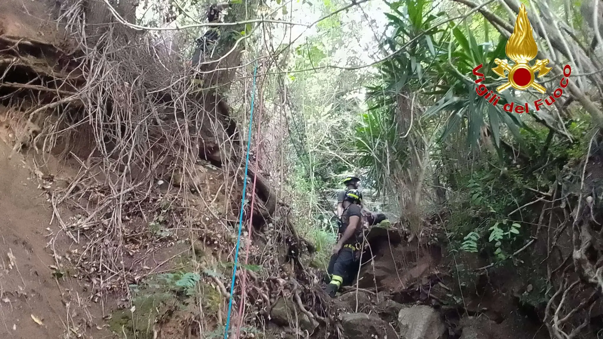 <p>Il dirupo in cui è precipitato l'operaio trentenne</p>\\n