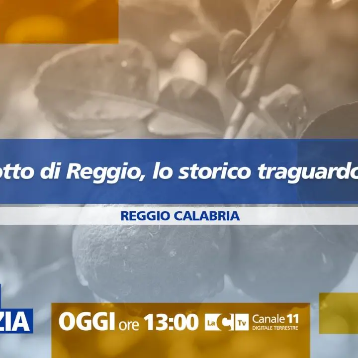 Il Bergamotto ottiene lo storico\u00A0riconoscimento Igp: approfondimento a Dentro la Notizia\n