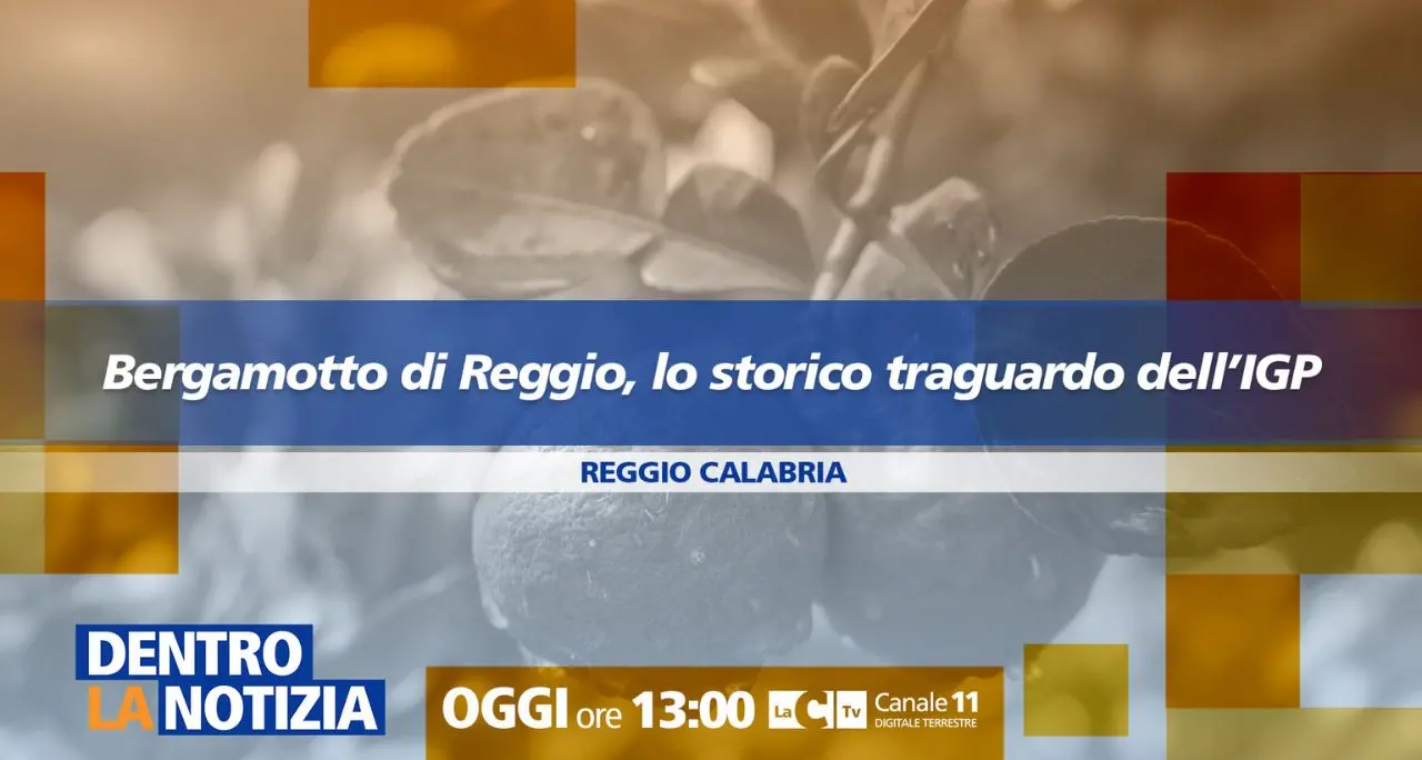 Il Bergamotto ottiene lo storico\u00A0riconoscimento Igp: approfondimento a Dentro la Notizia\n