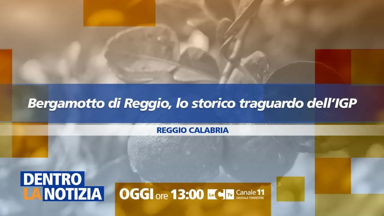 Il Bergamotto ottiene lo storico\u00A0riconoscimento Igp: approfondimento a Dentro la Notizia\n