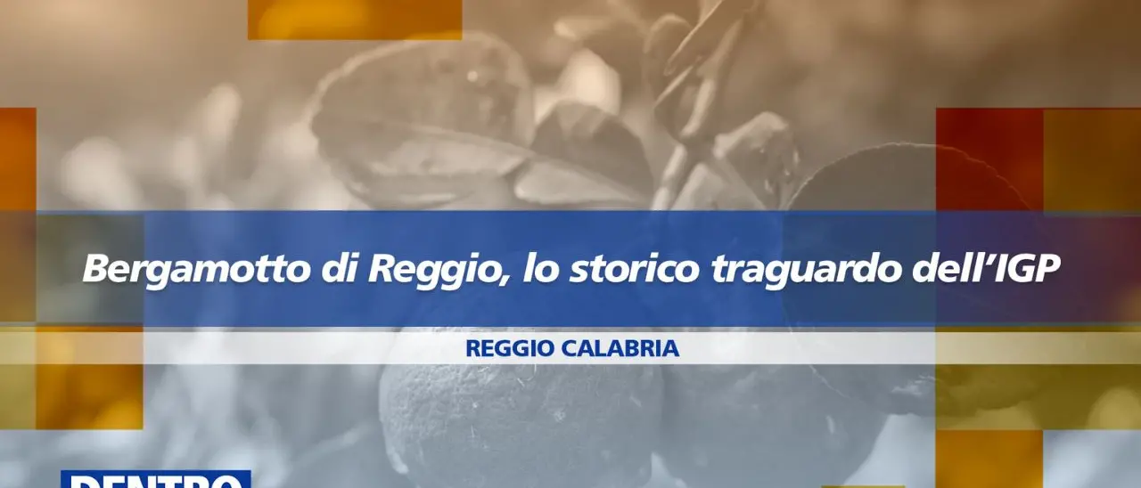 Il Bergamotto ottiene lo storico\u00A0riconoscimento Igp: approfondimento a Dentro la Notizia\n