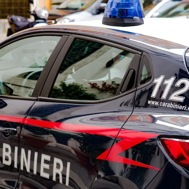 Auto in fiamme, furti e danneggiamenti:\u00A027 reati in una sola notte a Lamezia, arrestato 17enne