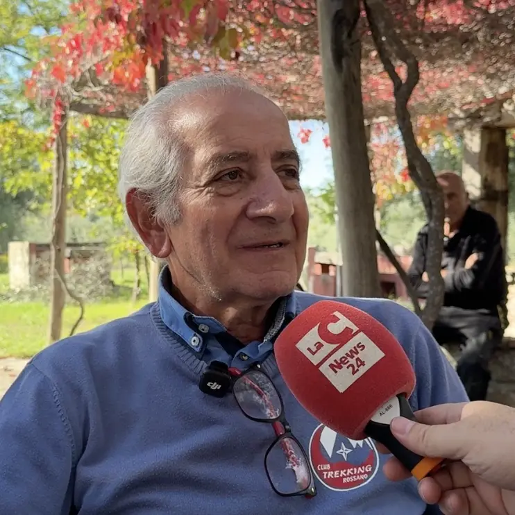 Cinghiali, la Sibaritide fa i conti con l’invasione. Il delegato di Libera Caccia: «Servono piani seri di controllo»\n