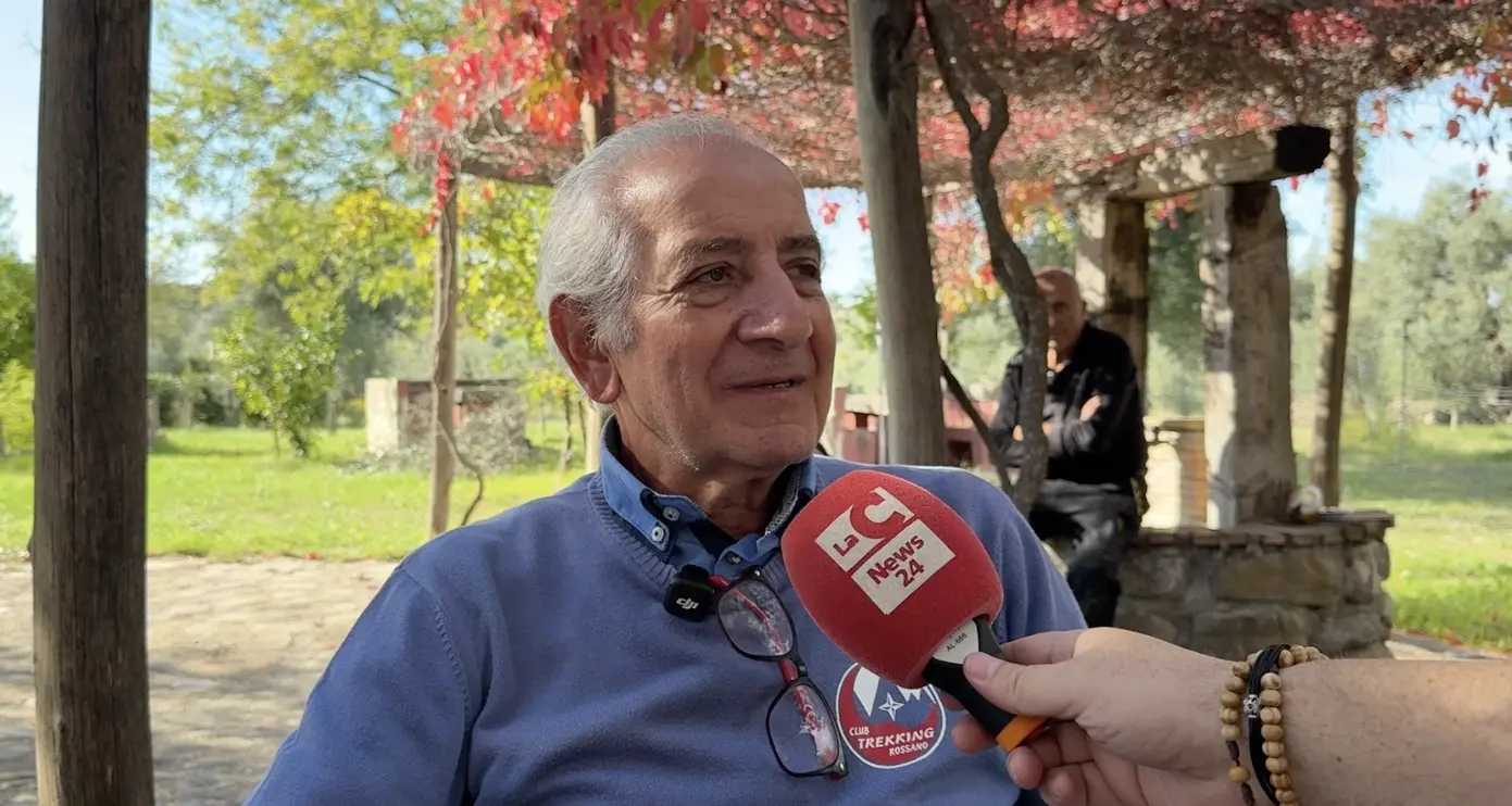 Cinghiali, la Sibaritide fa i conti con l’invasione. Il delegato di Libera Caccia: «Servono piani seri di controllo»\n