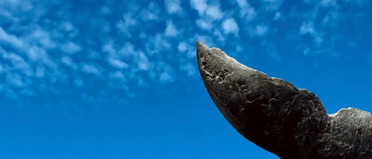 Scilla, la bellezza che nasce dal tormento\n