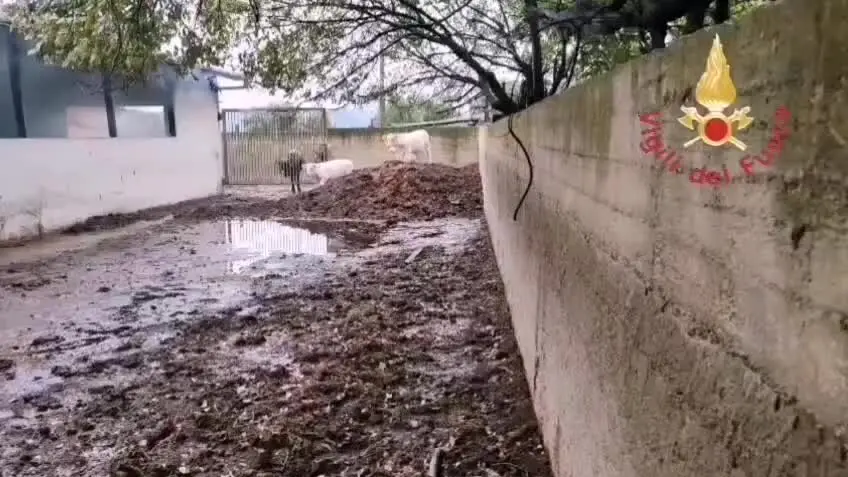Fulmine colpisce un capannone agricolo e provoca un incendio, due feriti