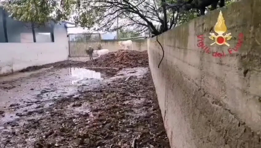 Fulmine colpisce un capannone agricolo e provoca un incendio, due feriti