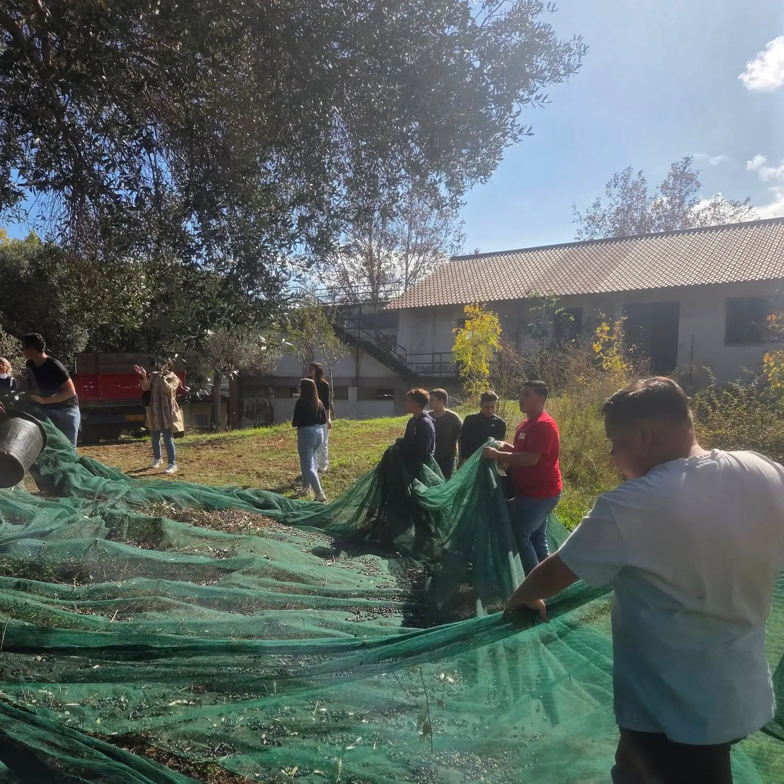 Palmi, gli studenti dell’Istituto Agrario “Einaudi-Alvaro” producono l’olio E.V.O. BIO dell’azienda “Regina Elena”\n