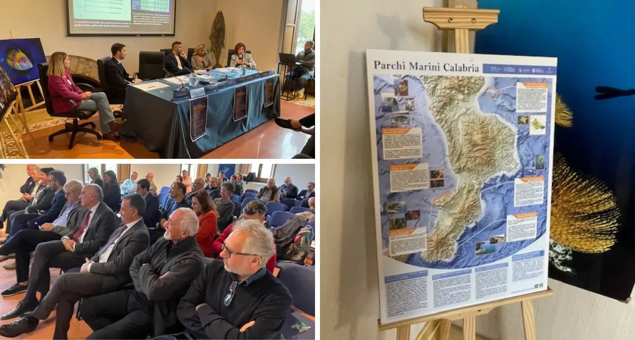 «Parchi marini fondamentali per lo sviluppo della Calabria», a Vibo i risultati del monitoraggio delle praterie di Posidonia
