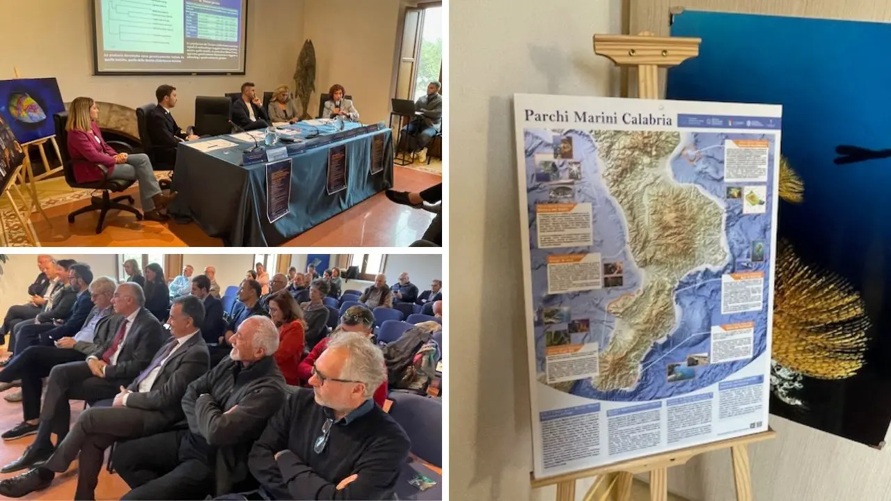 «Parchi marini fondamentali per lo sviluppo della Calabria», a Vibo i risultati del monitoraggio delle praterie di Posidonia