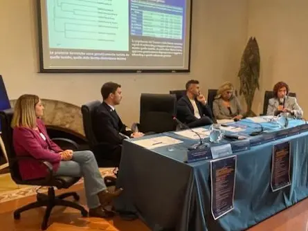 «Parchi marini fondamentali per lo sviluppo della Calabria», a Vibo i risultati del monitoraggio sulle praterie di Posidonia