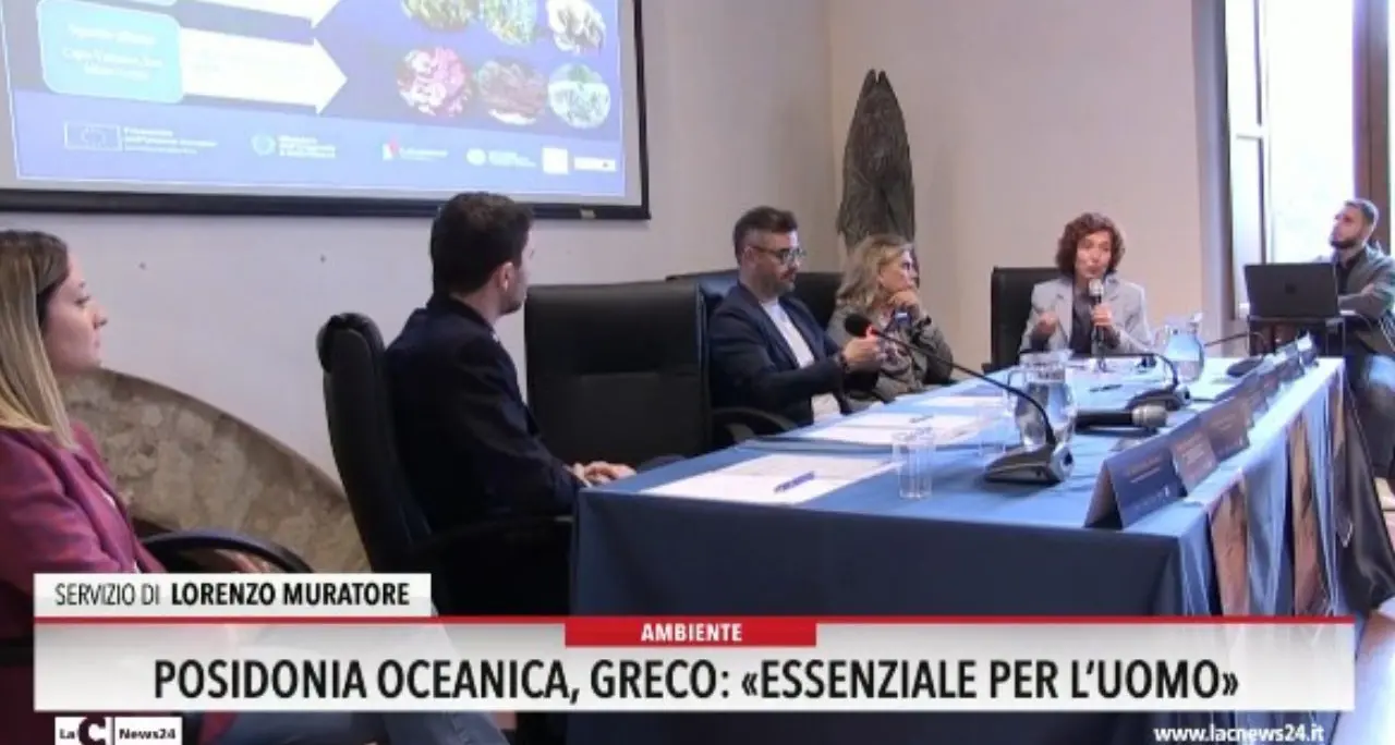 Posidonia Oceanica, Greco: «Essenziale per l'uomo»
