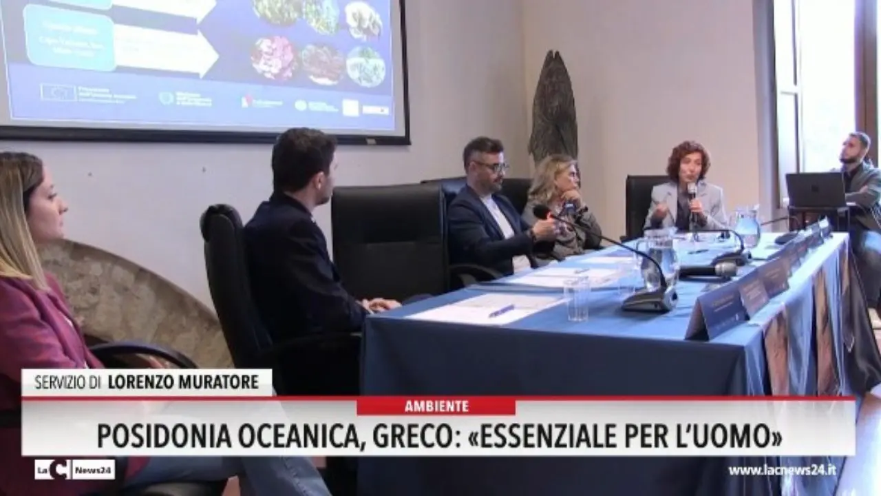 Posidonia Oceanica, Greco: «Essenziale per l'uomo»