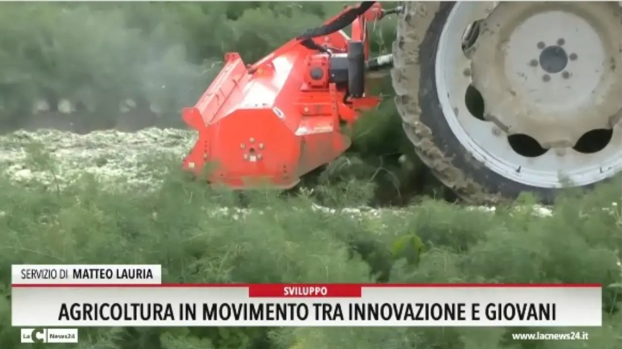 Agricoltura in movimento tra innovazione e giovani