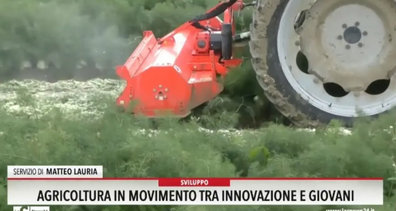 Agricoltura in movimento tra innovazione e giovani