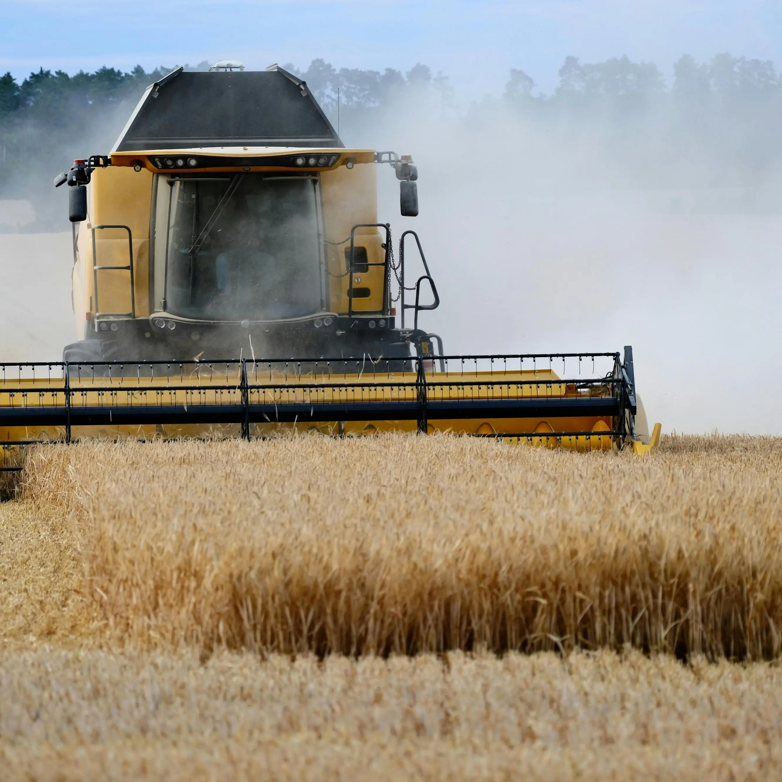 Agricoltura e innovazione, Italia e Senegal rafforzano i legami: accordo tra Cdp, Simest e l’Agenzia per gli investimenti di Dakar\n